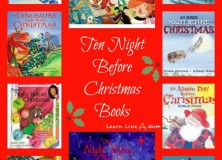Reading Roundup: Night Before Christmas Books
